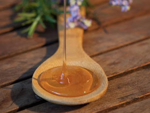 Cloister Honey Traditional Sourwood